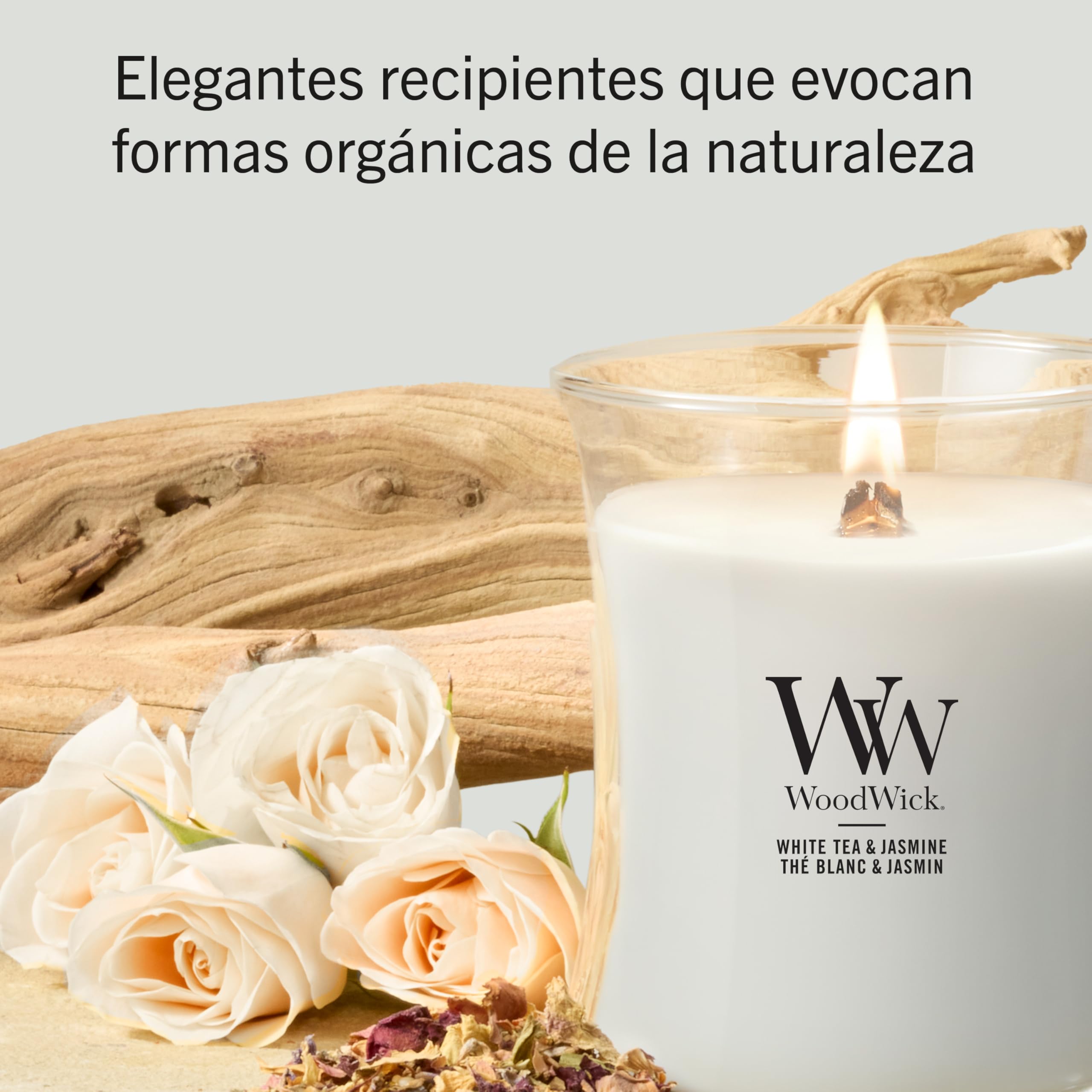 Amazon.co.jp: WoodWick ウッドウィック JARS ジャー Mサイズ ホワイト